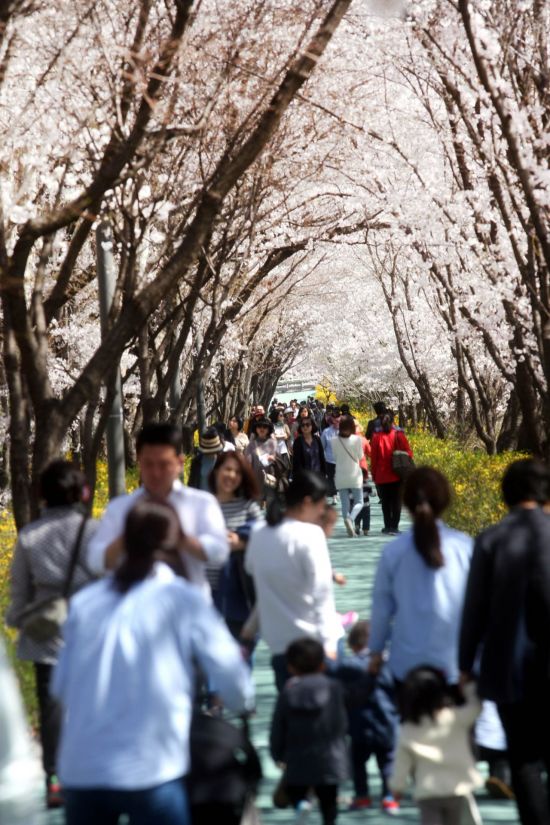 농축산물직거래센타 이미지