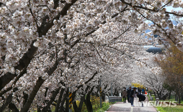 =ý   . 2019.04.01. (=ý DB) photo@newsis.com