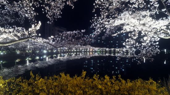 연화지 이미지