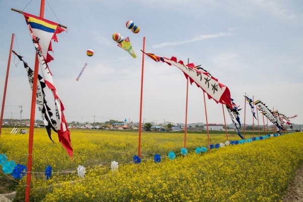 군산문창초등학교 이미지
