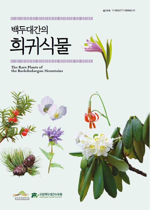 백두 이미지