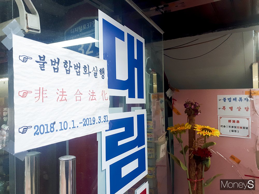 대림우리여행사 이미지