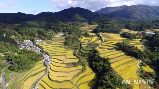 소야축산 이미지