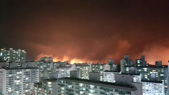 삼호현대주유소 이미지