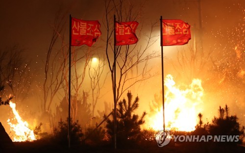 강풍에 날리는 불씨 (속초=연합뉴스) 김도훈 기자 = 5일 새벽 강원도 고성산불이 번진 속초시 미시령로에서 강풍에 불씨들이 날리고 있다. 2019.4.5 superdoo82@yna.co.kr