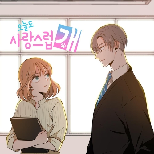 스튜디오가제 이미지