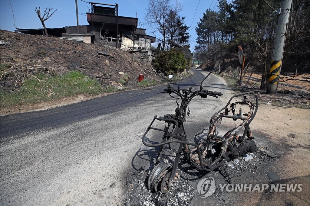 뼈대 이미지