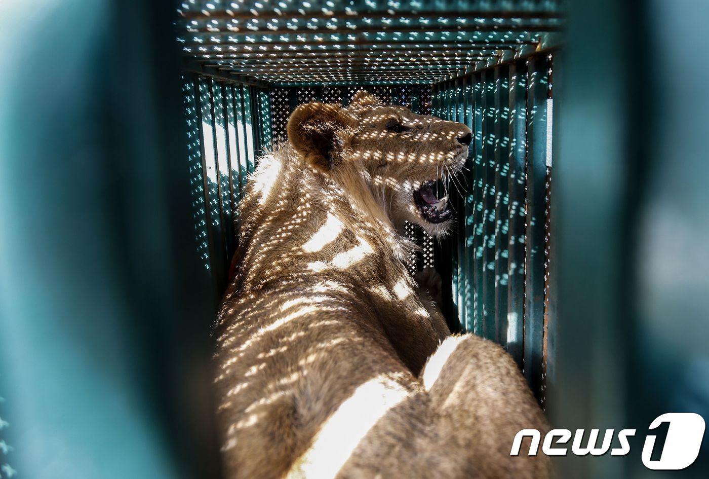 뽑고가자 이미지