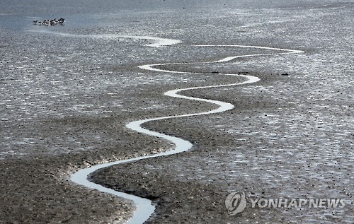 갯벌 [연합뉴스 자료사진]