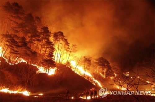 정가 한라산 이미지