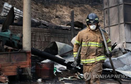 정가 한라산 이미지