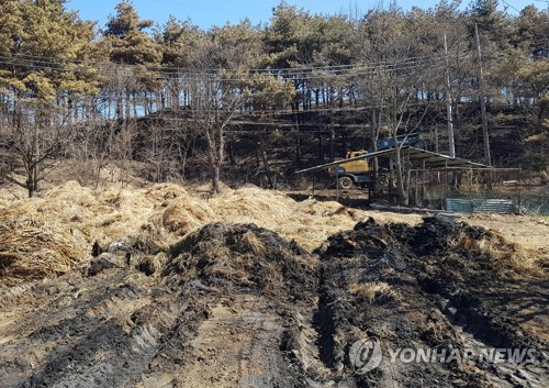 새벽농가축산 이미지