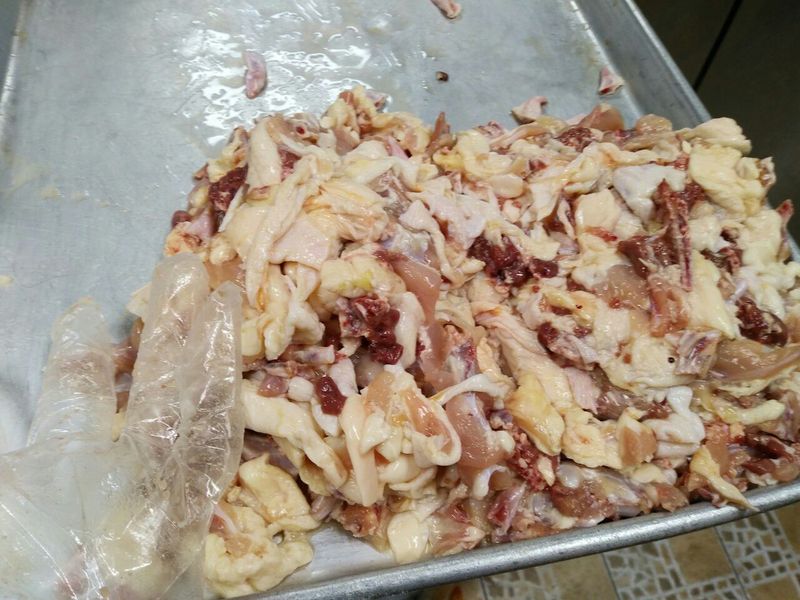 비에이치시 이미지