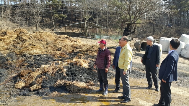 강릉축산 이미지