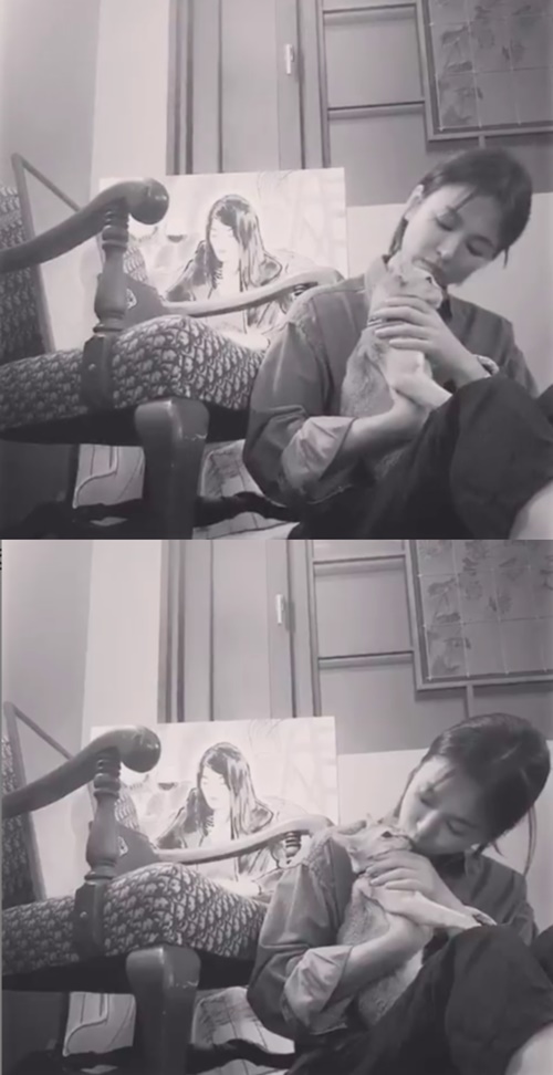 Actor Song Hye-kyo reveals recent statusOn the 10th, Song Hye-kyo posted a short video on his instagram.In the black and white video, Song Hye-kyo is sitting on the floor and holding the cat, and then he looks at the cat with his lovely eyes and kisses him affectionately.His face is a face without a toilet in his modest clothes, but his still innocent appearance catches the attention of the viewers.Meanwhile, Song Hye-kyo married his fellow actor Song Joong-ki in 2017 and played a role with Park Bo-gum in the TVN drama Boyfriend recently.Photo  Song Hye-kyo SNS