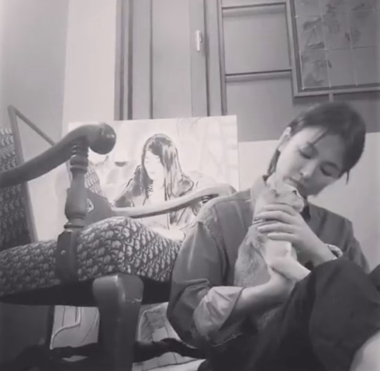 Actor Song Hye-kyo revealed his current situation.Song posted a video on her Instagram page on the 10th, which shows Song holding a cat in her arms.Song looks at the cat with a lovely look. Beautiful visuals attract attention.Song Hye-kyo is currently reviewing his next work after finishing TVN Boyfriend.