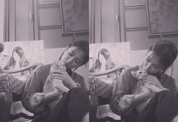 Actor Song Hye-kyo revealed his current situation.Song Hye-kyo posted a short black and white video on her SNS on the 10th, and Song Hye-kyo is sitting on the floor, holding a cat and looking at it with lovely eyes and kissing.Song Hye-kyo is a face without a toilet and has her hair tied up. She is still beautiful in her modest clothes.On the other hand, Song Hye-kyo is reviewing his next work after TVN Boyfriend which ended in January.Photo: Song Hye-kyo Instagram