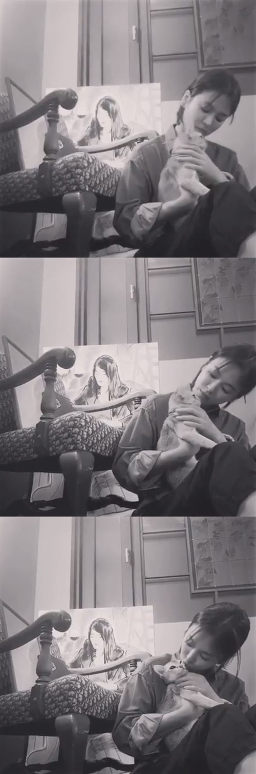 Song Hye-kyos current status has been revealed.Song Hye-kyo posted a short video on his instagram on the 10th to announce the current situation.The Sepiaton video shows Song Hye-kyo enjoying his leisure time with a cat in his arms. The sweet eyes looking at the cat give a warm look.In addition, Song Hye-kyos gentle dress and makeup also emits shining beauty and collects attention.On the other hand, Song Hye-kyo signed a 100-year anniversary with Actor Song Jung-ki in October 2017 and received many congratulations.After his marriage, he played the role of Cha Soo-hyun, who had a politicians father in the TVN drama Boyfriend.