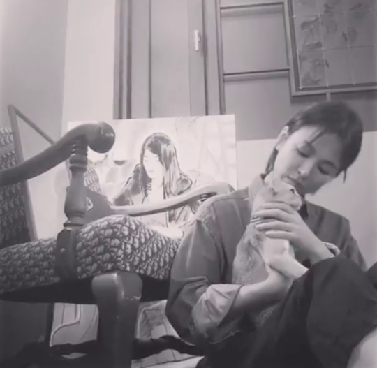 Song Hye-kyo posted a short video on his instagram on the 10th.In the video, Song Hye-kyo sits on the floor and looks at the cat in his arms. Song Hye-kyo kisses the cat ball as if he is caught by the cute charm of the cat.In particular, Song Hye-kyo looks at the cat with a lovely eye and catches his eye.Song Hye-kyo still attracts attention with his superior beauty even in his modest clothes.On the other hand, Song Hye-kyo is reviewing his next work after TVN drama Boyfriend which last January.