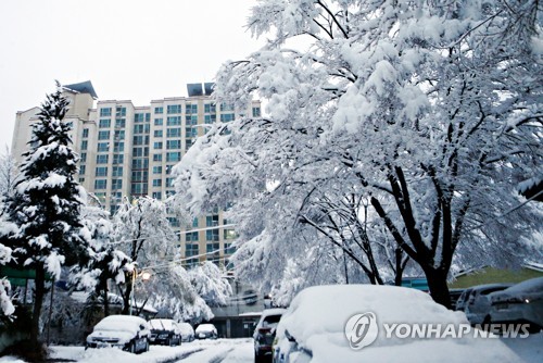 4월에 피어난 눈꽃 (태백=연합뉴스) 배연호 기자 = 폭설이 내린 10일 강원 태백시 문곡동 아파트단지에 눈꽃이 활짝 폈다.      태백지역에는 이날 오전 7시 현재 22.5㎝의 눈이 내렸다. 2019.4.10 byh@yna.co.kr