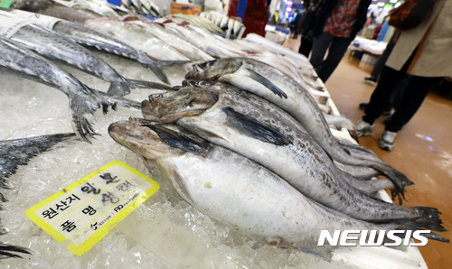서울 영등포구 노량진수산시장에서 방사능 수치 검역에 통과한 일본산 생태가 판매되고 있다. 뉴시스