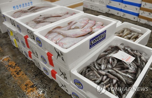 후쿠시마산 가자미 등의 어류 [교도=연합뉴스 자료사진]