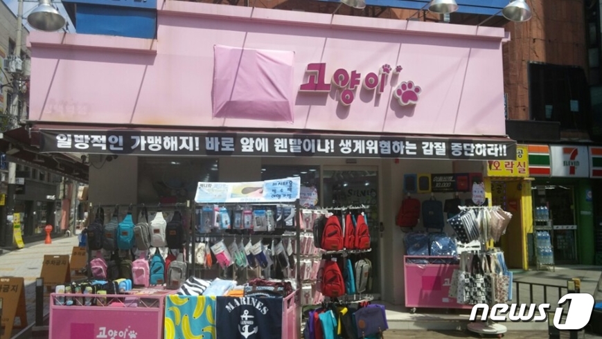 엔캣 이미지