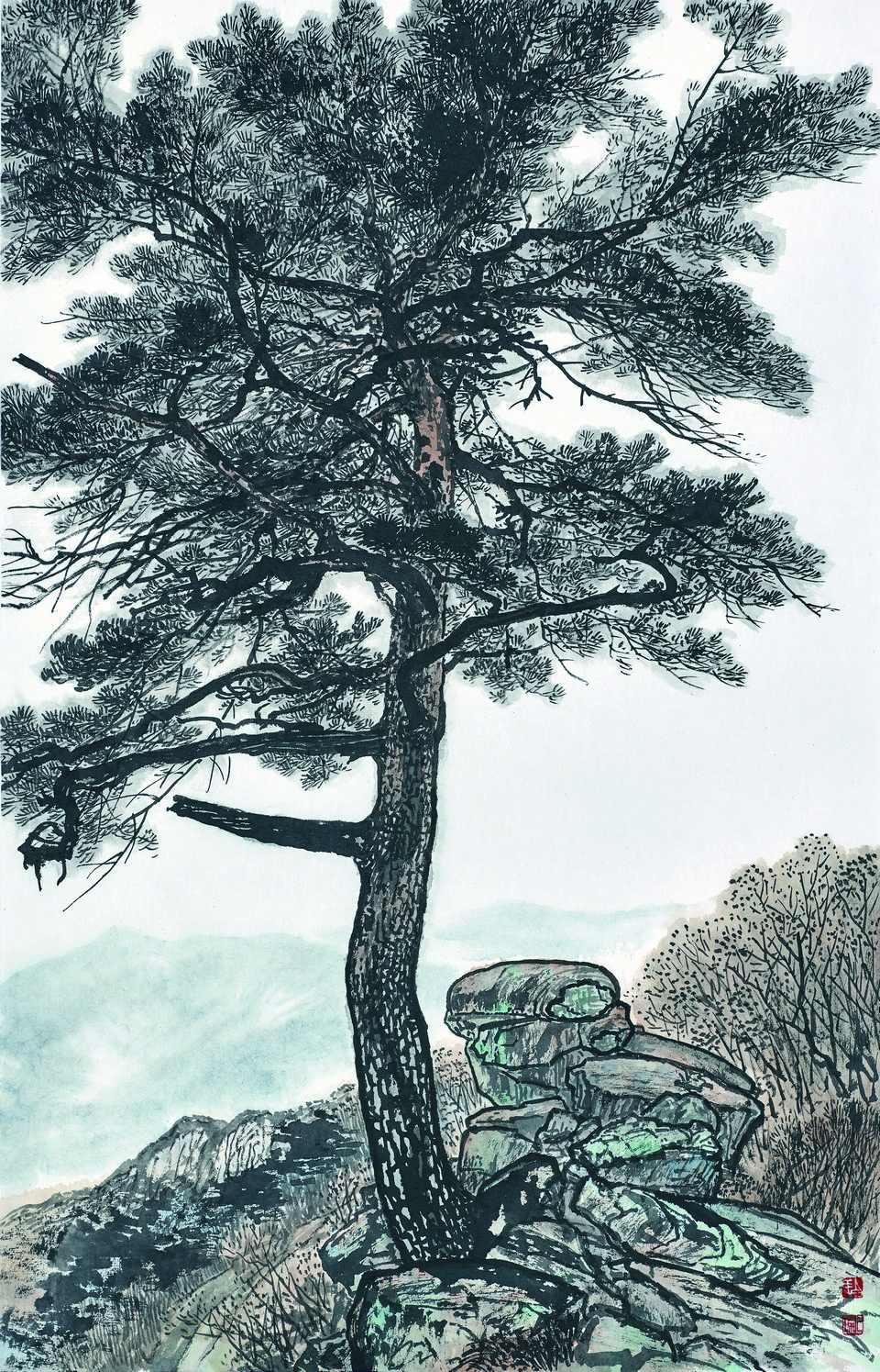 솜담채 이미지