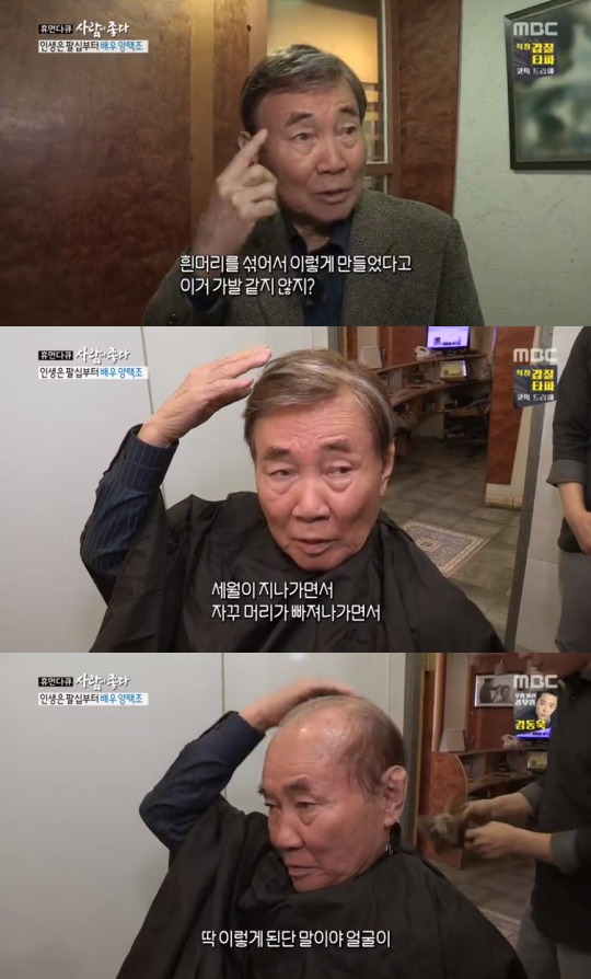 휴먼가발 이미지