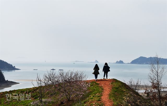 안흥성 성곽에 오르면 신진도 앞바다가 시원하게 펼쳐진다. 해무가 끼고 잔잔해 보이지만 바위섬 주변 관장목은 눈에 보일 만큼 물살이 거세다. 태안=최흥수 기자