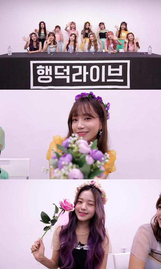 원라이브 이미지