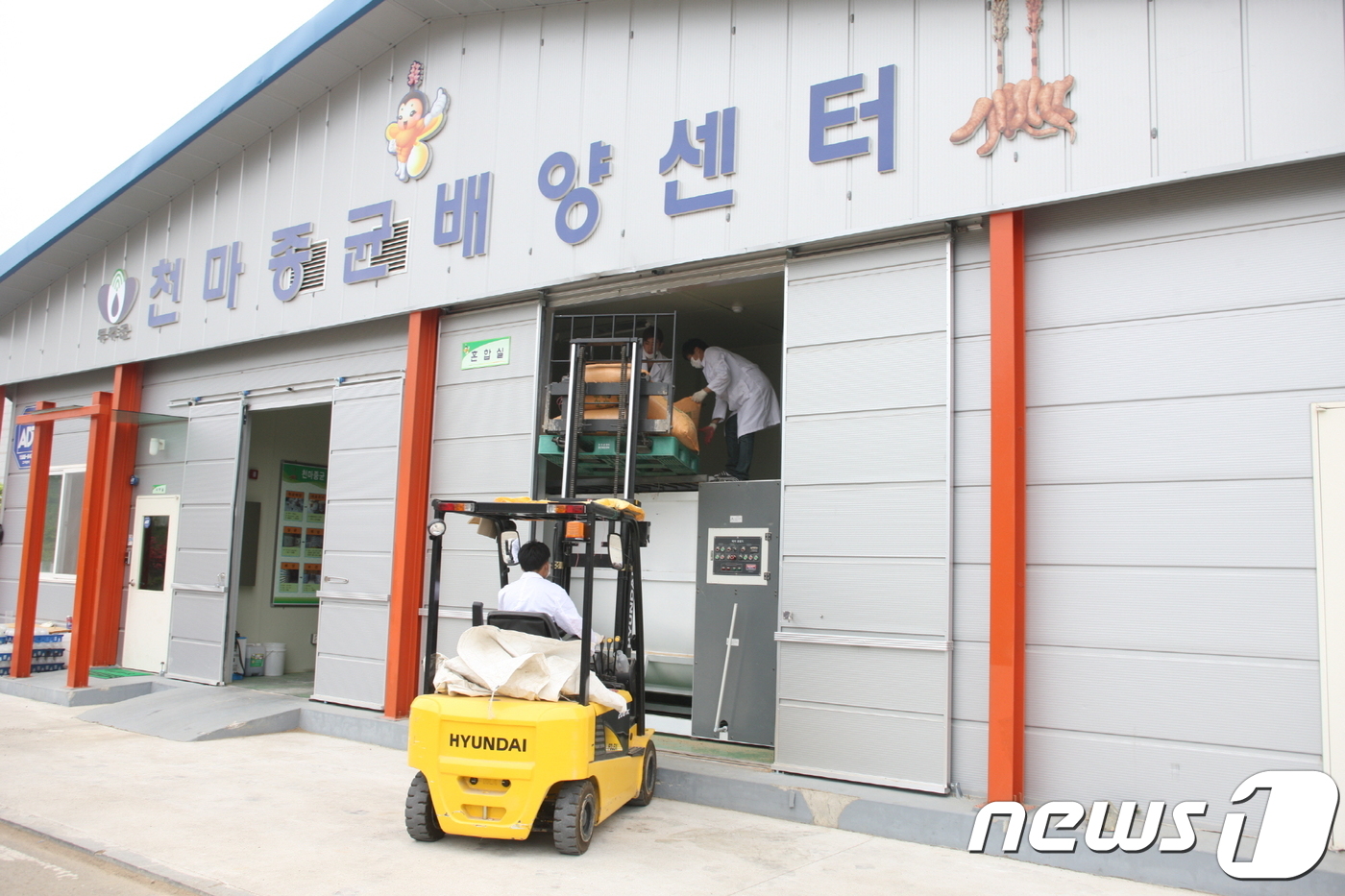 천마수산 이미지