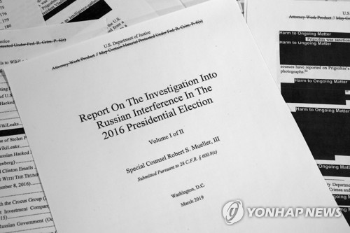 Probe 이미지