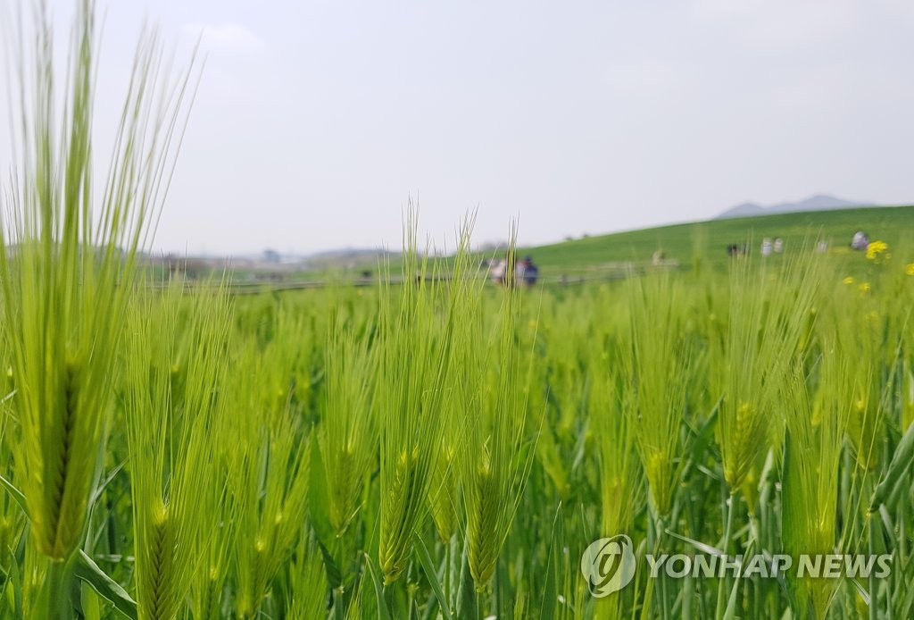 휘성농장 이미지