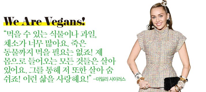 리페이브 이미지