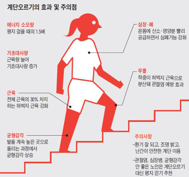 계단 오르기는 심폐기능 향상과 관절염 예방에 좋은 운동이나 자신의 건강상태에 맞게 올바른 자세로 해야 효과를 볼 수 있다./사진=조선일보 DB