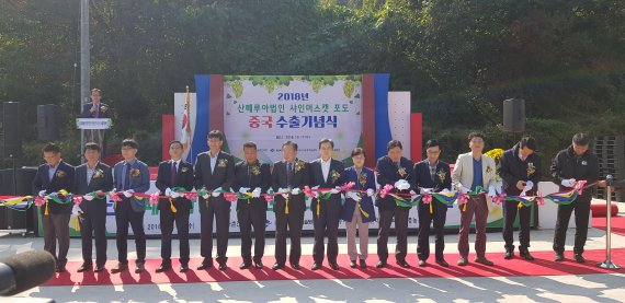 새힘컨설팅 이미지