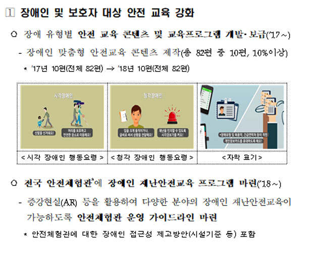 장애인 안전 종합대책