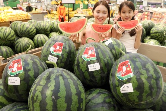 과일바빠 이미지