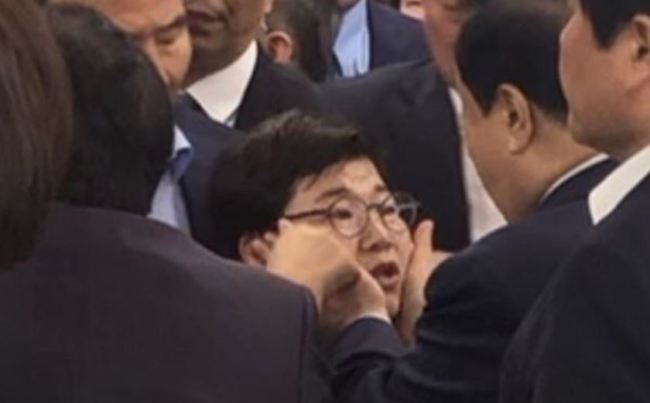 보니 이미지