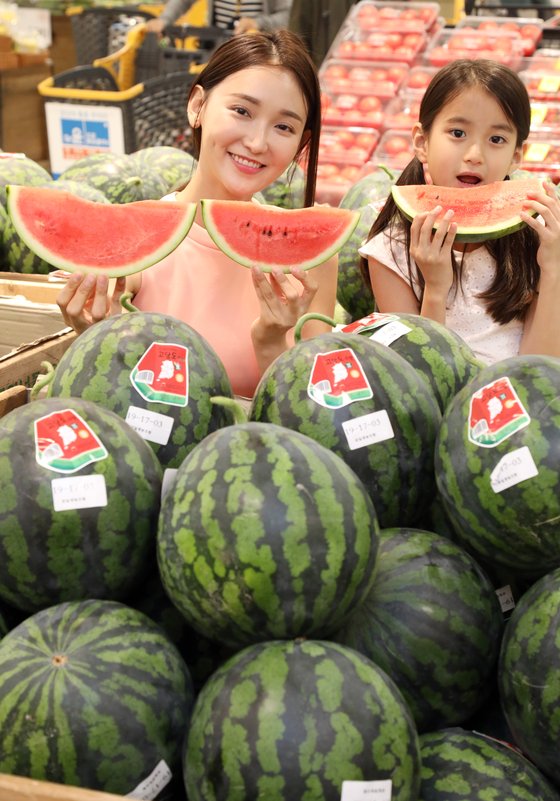 수박 이미지