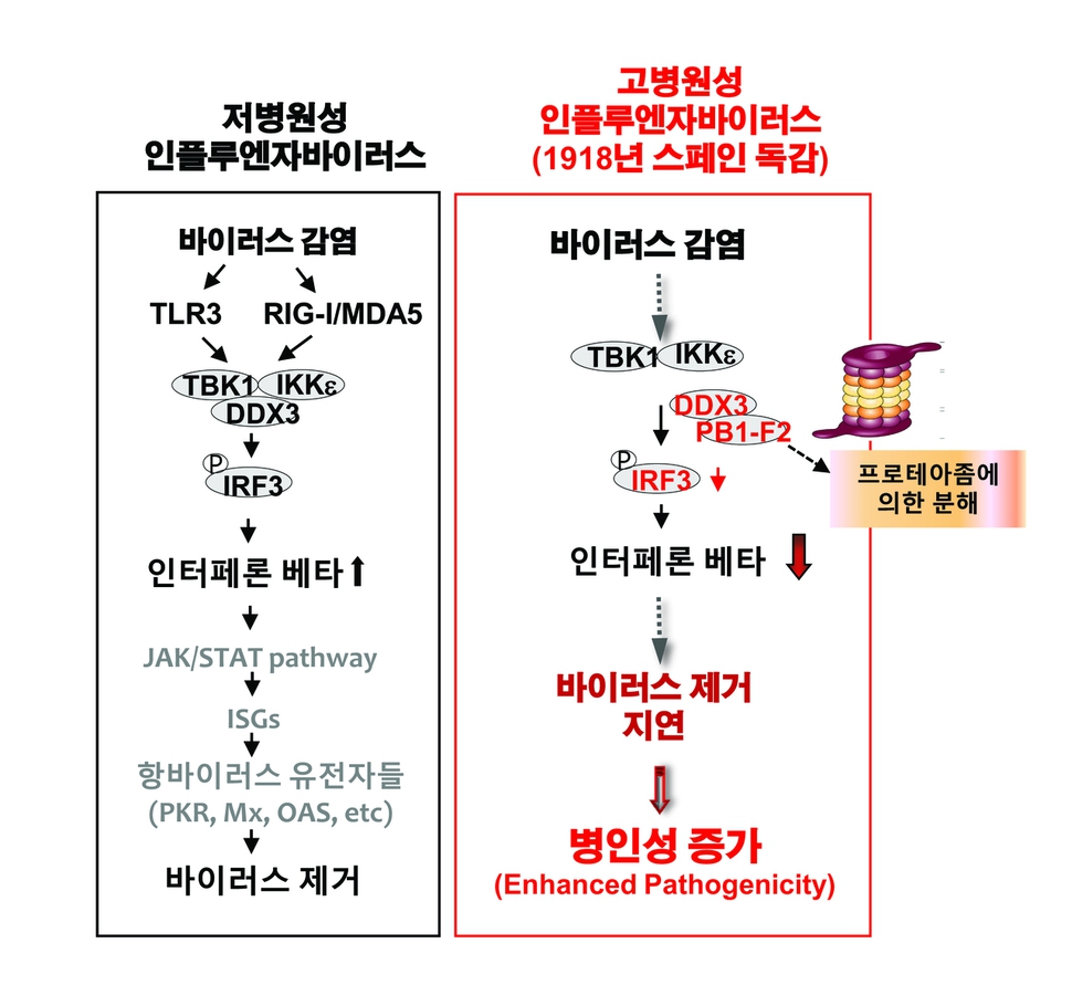 피비에프 이미지