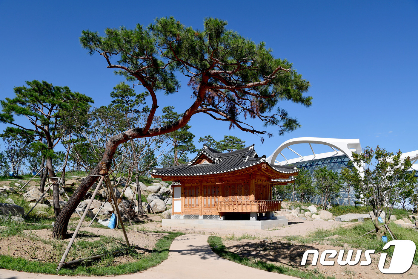 올리브식물원 이미지