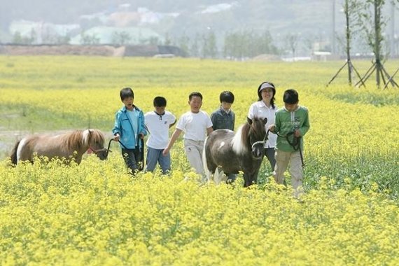 파크 이미지