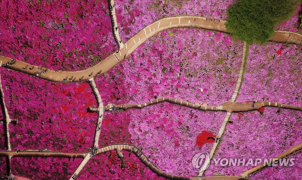 대궐 이미지