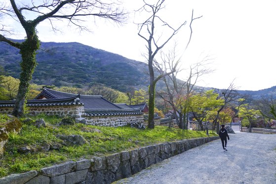 전남 해남 대둔산에 안긴 대흥사는 초입 산책로가 특히 아름답다. [사진 한국관광공사]