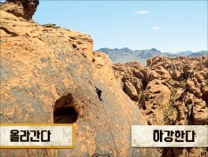 이용자의 선택에 따라 결론이 달라지는 ‘인터랙티브 콘텐츠’인 넷플릭스의 ‘당신과 자연의 대결’. 넷플릭스 제공