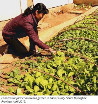 (서울=연합뉴스) 유엔 식량농업기구(FAO)와 세계식량계획(WFP)은 3일 올해 북한의 식량 수요를 충족하는데 필요한 곡물 수입량이 136만t이라고 발표했다. 사진은 북한 주민이 지난 4월 황해남도의 밭에서 일하는 모습. [FAO·WFP 제공]