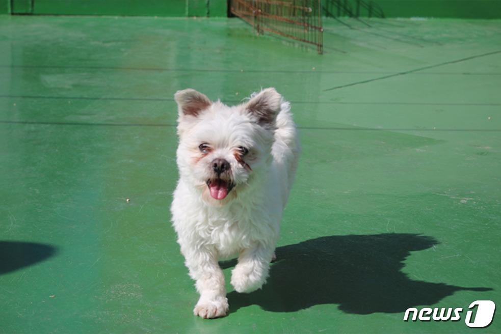 청아 이미지