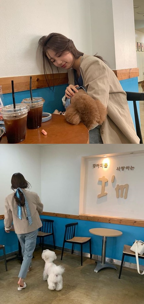 Singer and actor Bae Suzy has released a relaxed current situation.Bae Suzy posted several photos on his instagram on the 7th with a short article called Keeping.In the public photo, Bae Suzy enjoys a good time with a puppy in a cafe, and his natural appearance is admirable.In another photo, Bae Suzy, who walks freely inside the cafe, is shown.Meanwhile, Bae Suzy has recently signed an exclusive contract with Management Forest, an actor management company, and plans to accelerate his activities.He is about to air a new SBS drama Baega Bond.